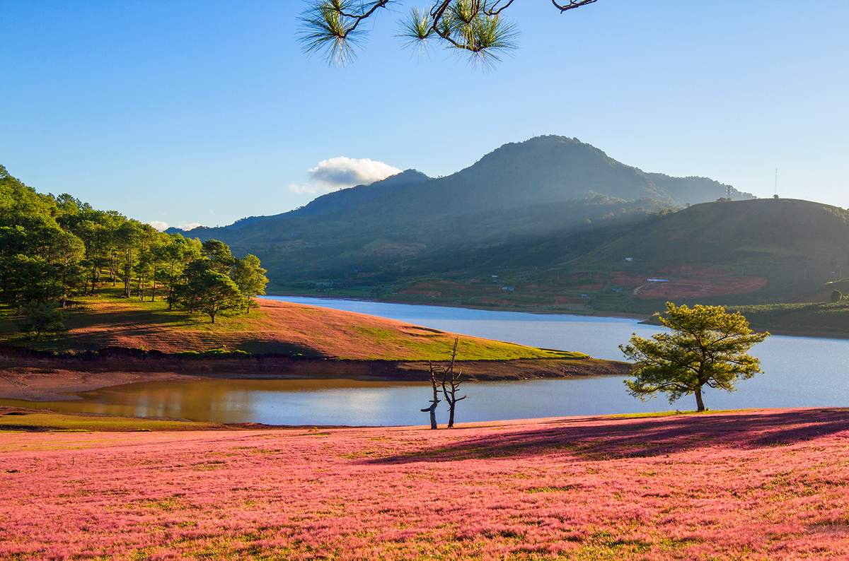 Suối Vàng Đà Lạt